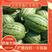 西瓜，早春红玉，包熟，包甜，包送，农户自产，大量供应，