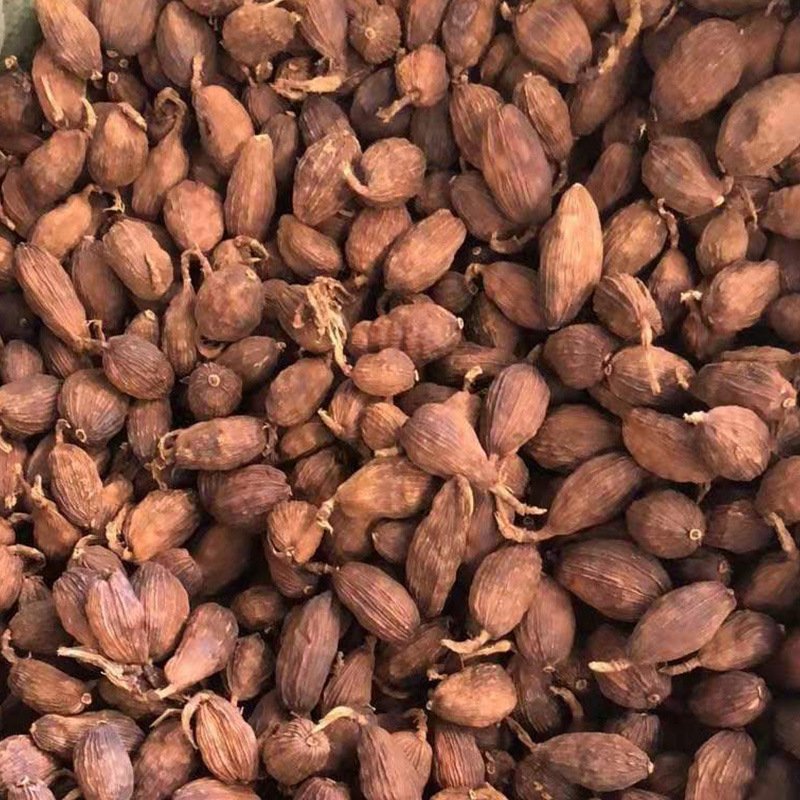 草果香料批发产地直销量大从优一手货源