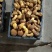云南野生菌