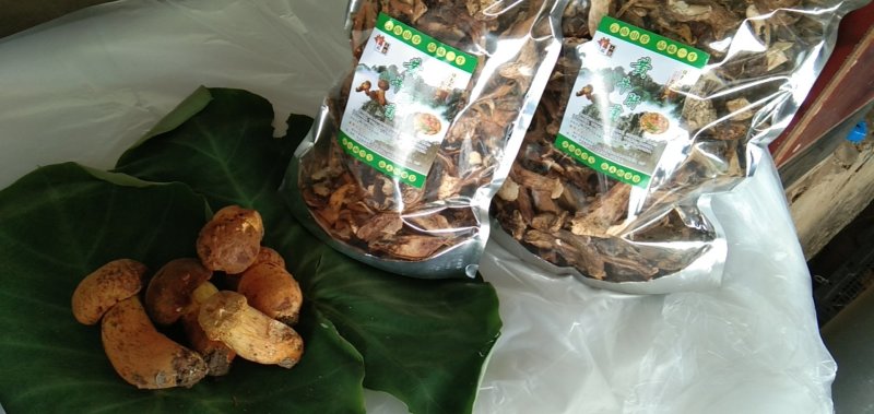 云南野生菌