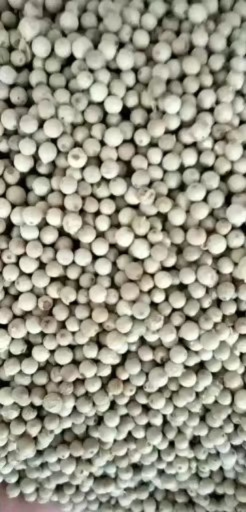 白胡椒海南特产批发正品精选白胡椒