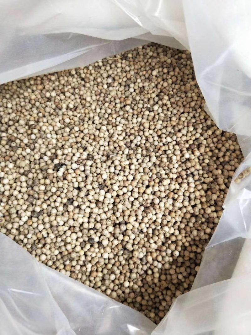 白胡椒海南特产批发正品精选白胡椒