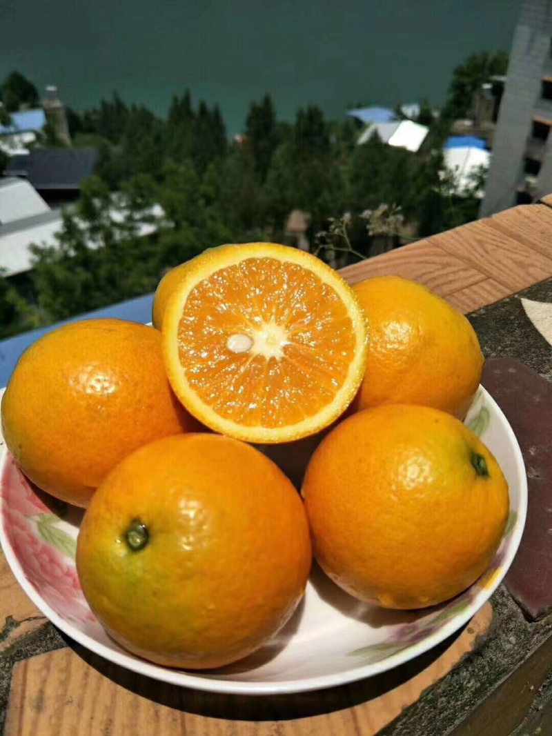 湖北秭归夏橙一件代发对接电商
