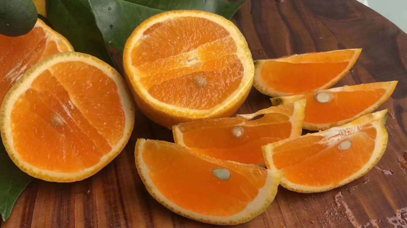 湖北秭归夏橙一件代发对接电商