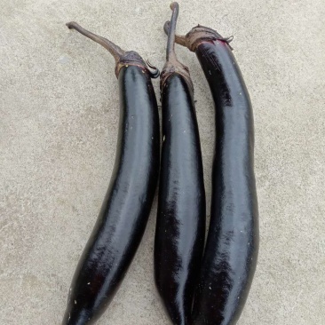 茄子