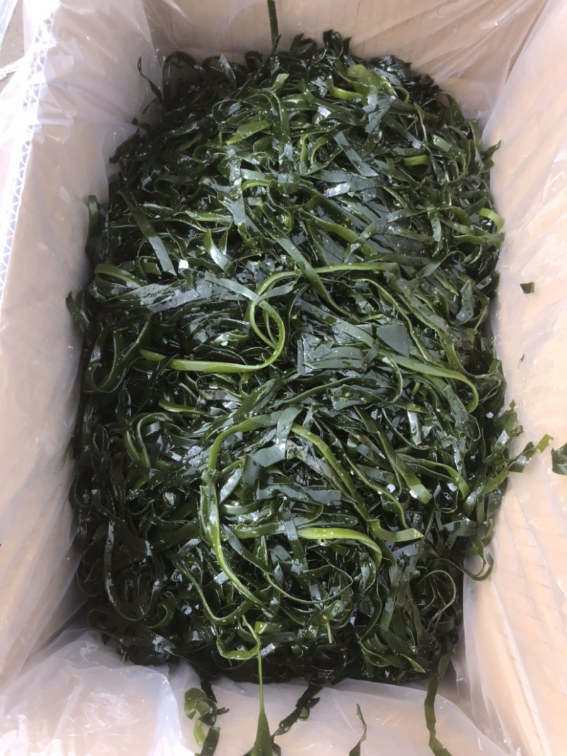 海带丝