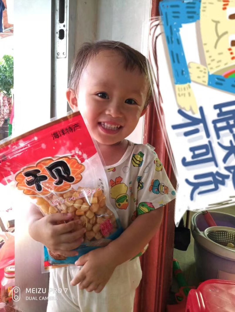 湛江特产瑶柱