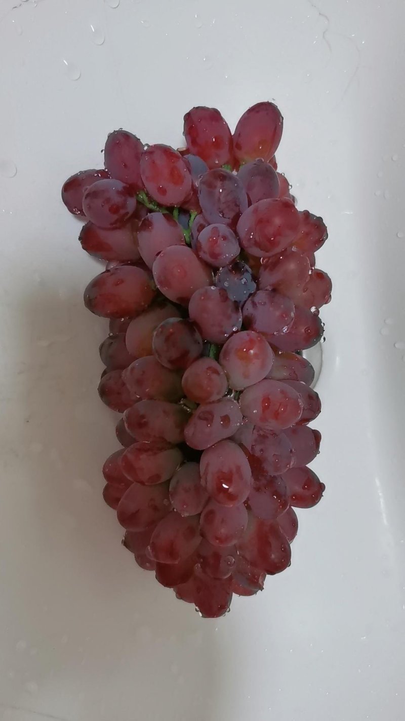 着色香葡萄大量有货需要的客商联系保证质量价格不高