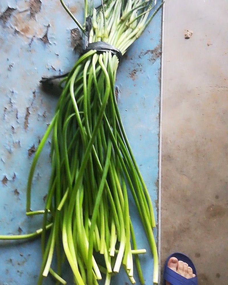 大量出售冷库蒜苔质量好价格低