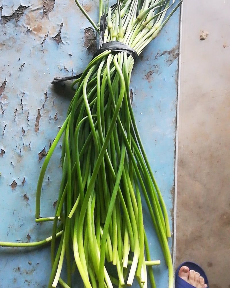 大量出售冷库蒜苔质量好价格低