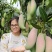 红象牙芒果实力代办一手货源专业诚信高效有保障
