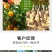 矿源黄腐酸钾全水溶,修复土壤,生根提苗,抗旱抗逆