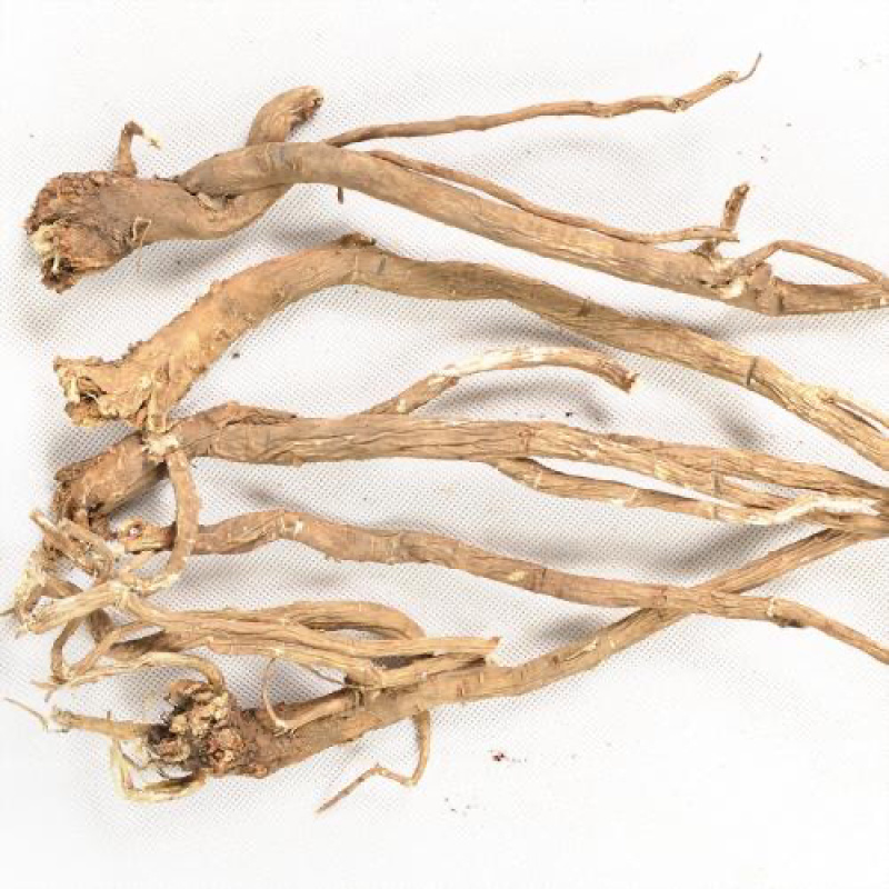 【精选】野生黄芪黄芪可切片产地直销产地批发包邮。