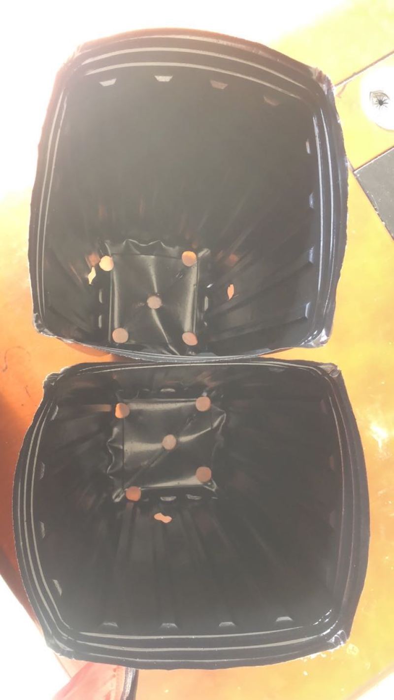 营养杯12×25×1000，各种型号柑橘杯包邮到家！