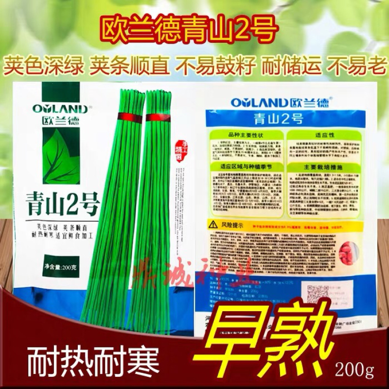 欧兰德青山2号豆角肉厚不鼓籽耐高温翠绿条