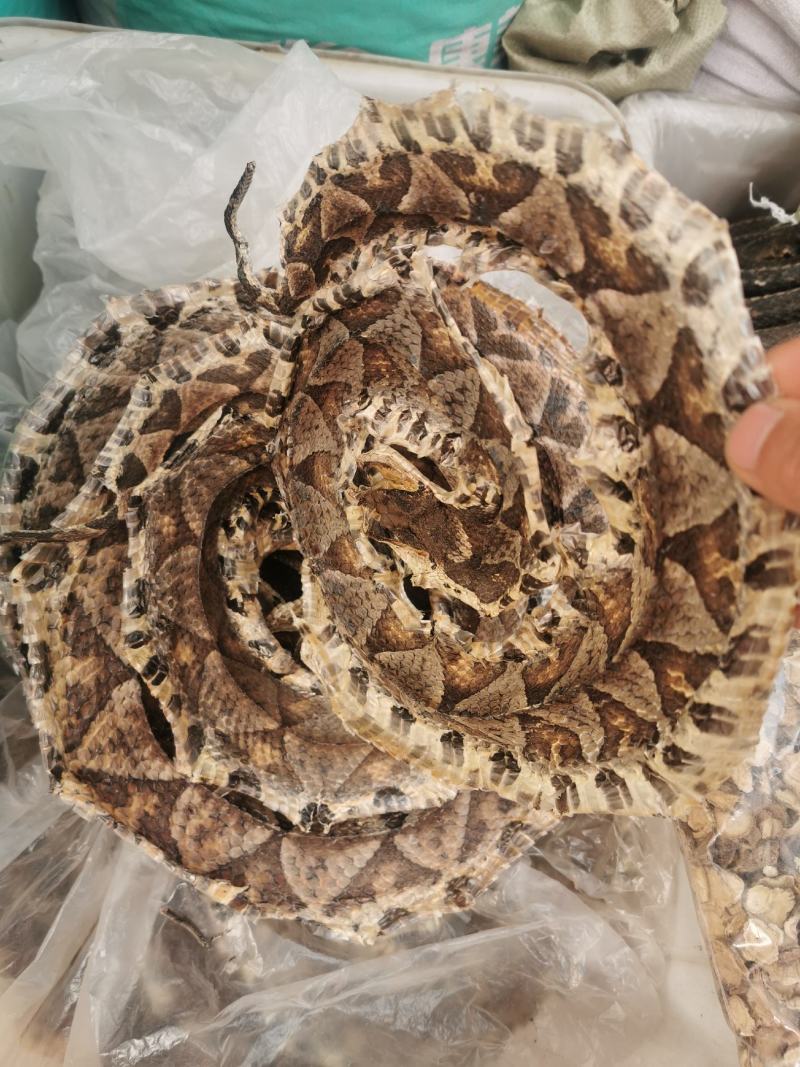 【推荐】中药材乌梢蛇乌蛇乌蛇干正品才有药效别图便宜