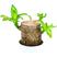 巴西木水养幸运木格鲁特水培植物室内巴西木带芽盆栽格鲁特小