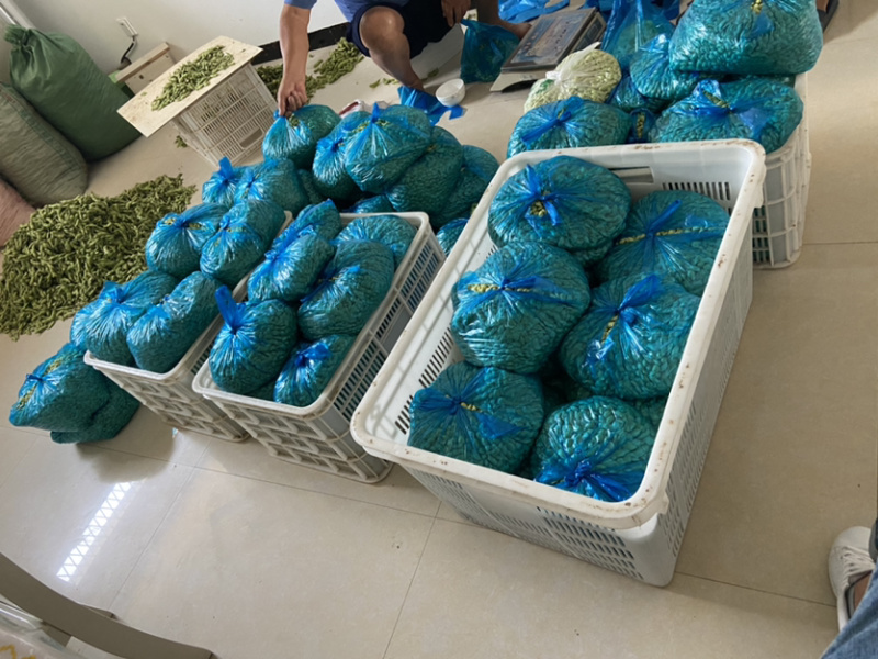精品新鲜毛豆纯手工毛豆米供应超市货颗粒饱满