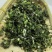 益母草中药材批发益母草