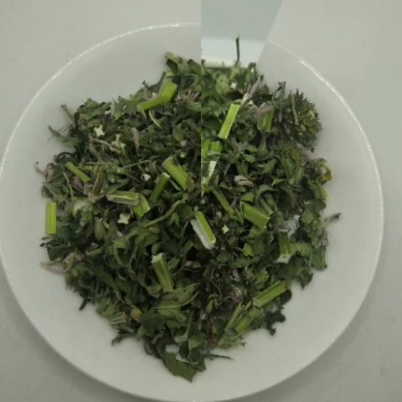 益母草中药材批发益母草