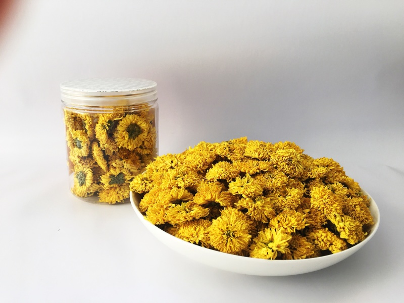 怀菊花河南焦作云台冰菊新品菊花知里菊游韵菊黄菊花