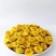 怀菊花河南焦作云台冰菊新品菊花知里菊游韵菊黄菊花