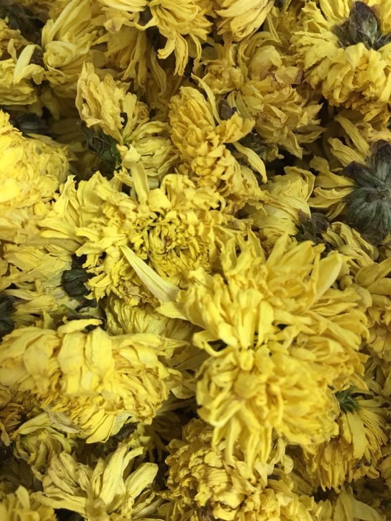 怀菊花河南焦作云台冰菊新品菊花知里菊游韵菊黄菊花