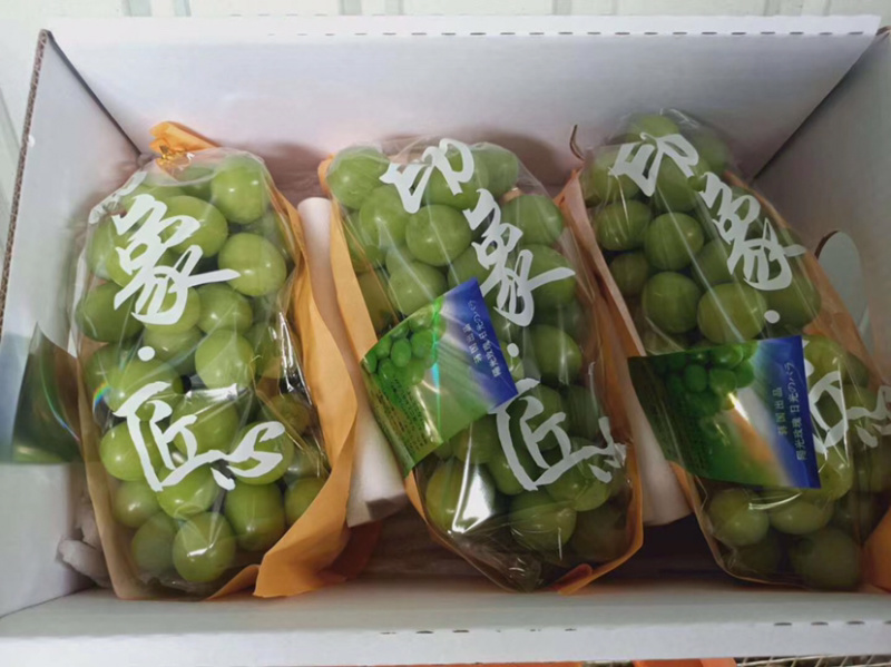 阳光玫瑰葡萄，晴王甜葡萄产地直销，精品一级果园
