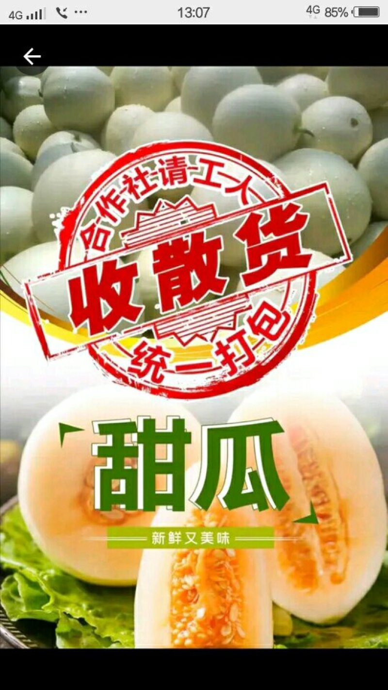 东方蜜1号甜瓜2斤以上