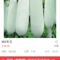 鼎牌365小冬瓜