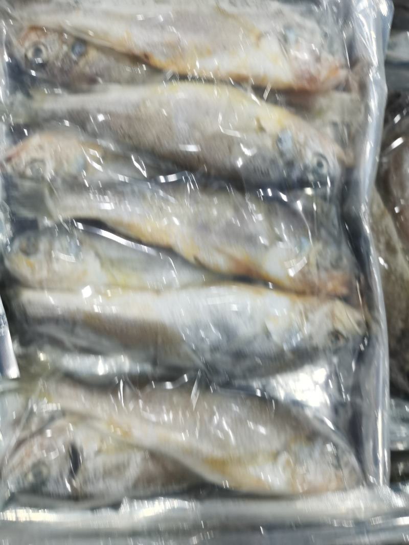 小黄鱼鲜活速冻小黄鱼黄花鱼清蒸红烧烧烤