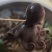 鲜活小章鱼迷你一口小章鱼一包400克真空包装