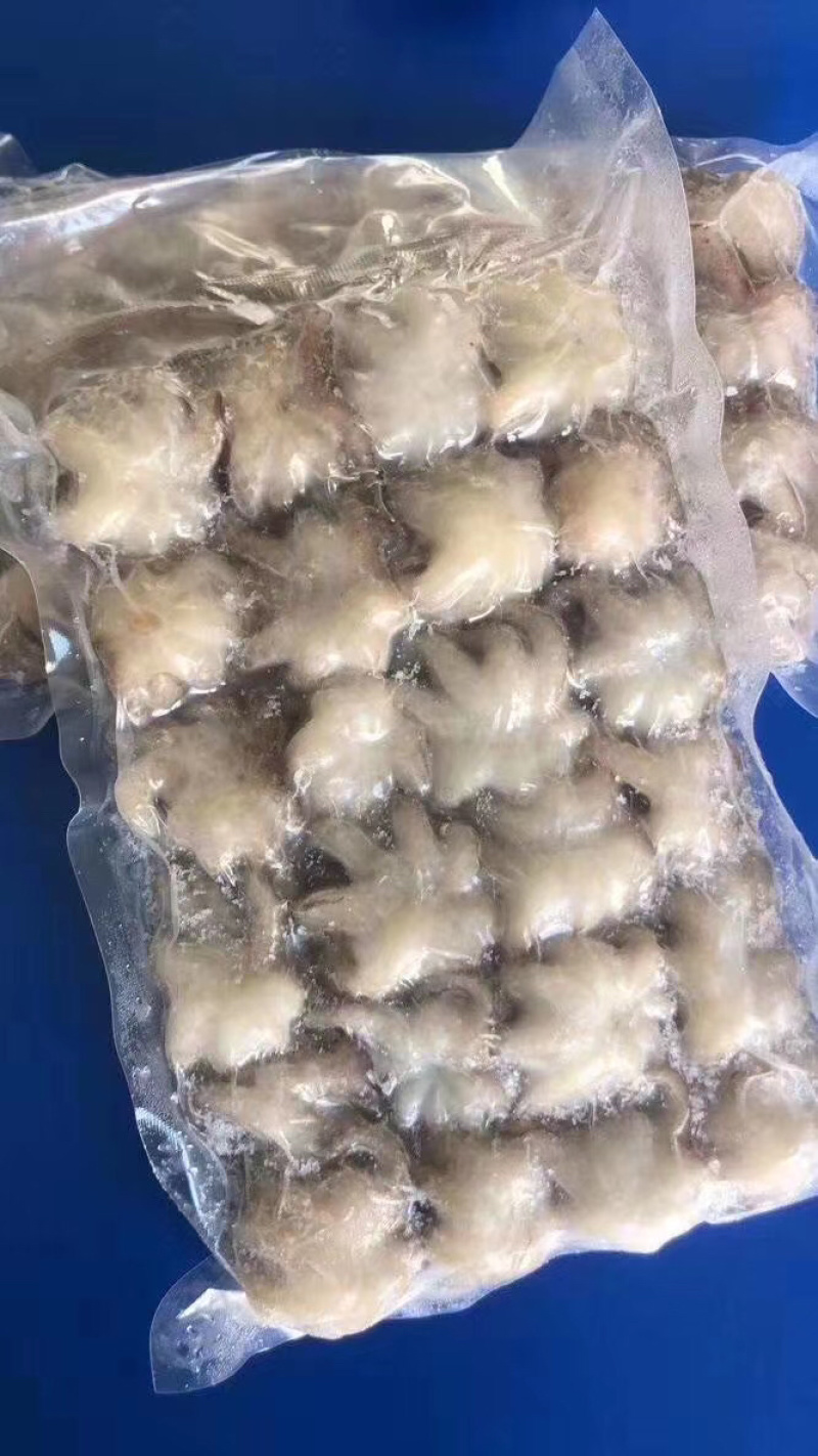 鲜活小章鱼迷你一口小章鱼一包400克真空包装