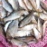 生鲜河鱼仔