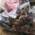 广西野生鸡头黄精，姜形黄精，鲜货，干货量大从优