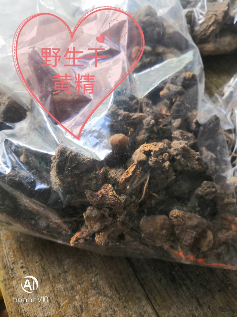广西野生鸡头黄精，姜形黄精，鲜货，干货量大从优