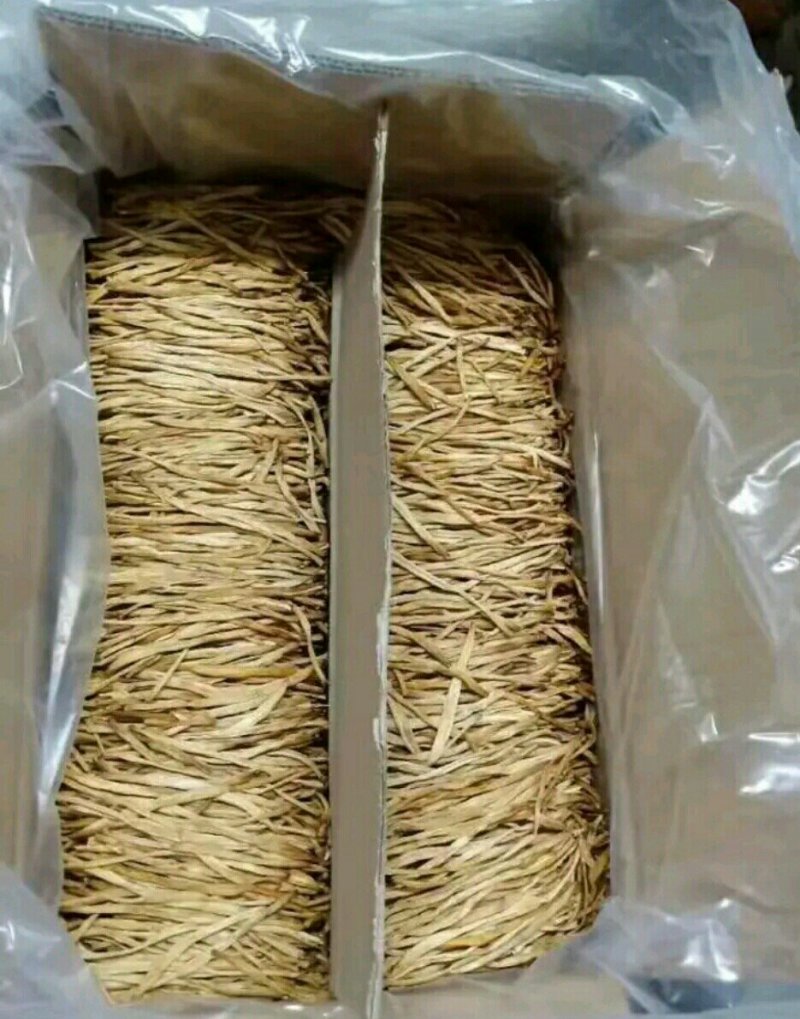 2020年的新黄花菜，无硫直条，自然晾晒，一手货源
