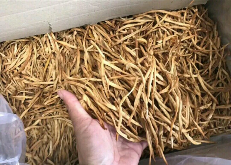 2020年的新黄花菜，无硫直条，自然晾晒，一手货源