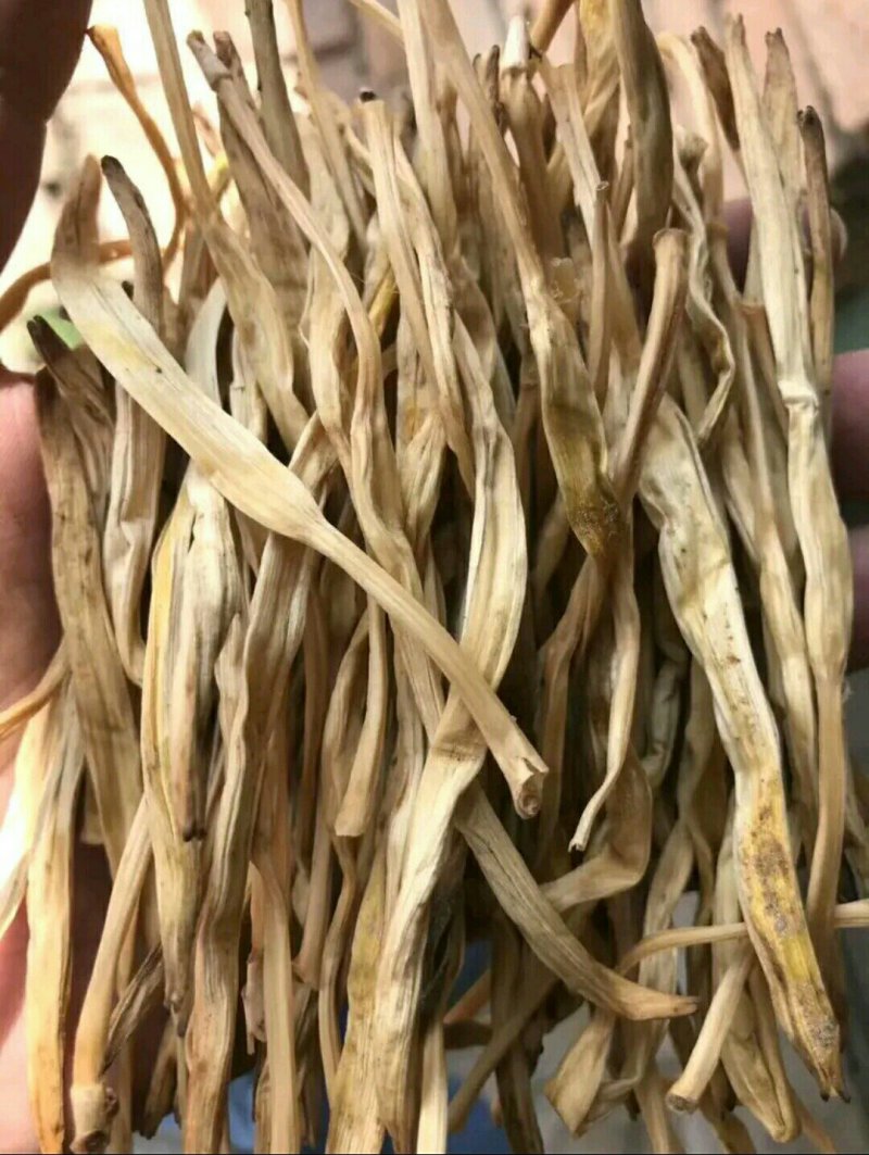 2020年的新黄花菜，无硫直条，自然晾晒，一手货源