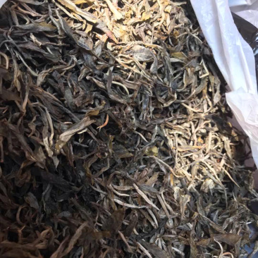 缅北百年古树茶