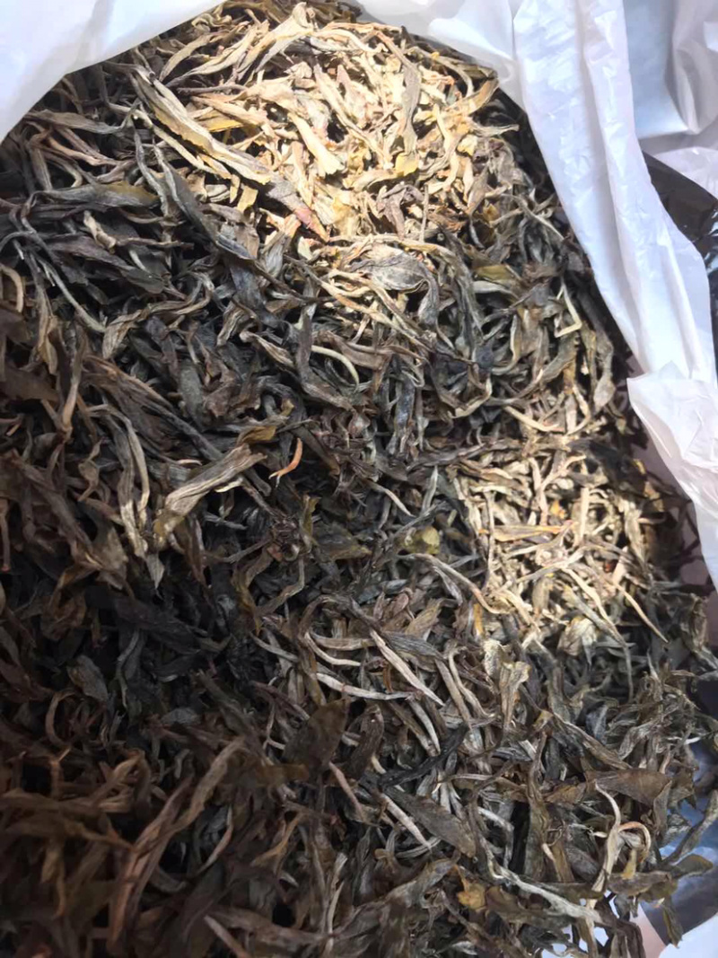 缅北百年古树茶
