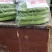 苦瓜精品大量上市商超走市场加工厂日供5万斤，，，