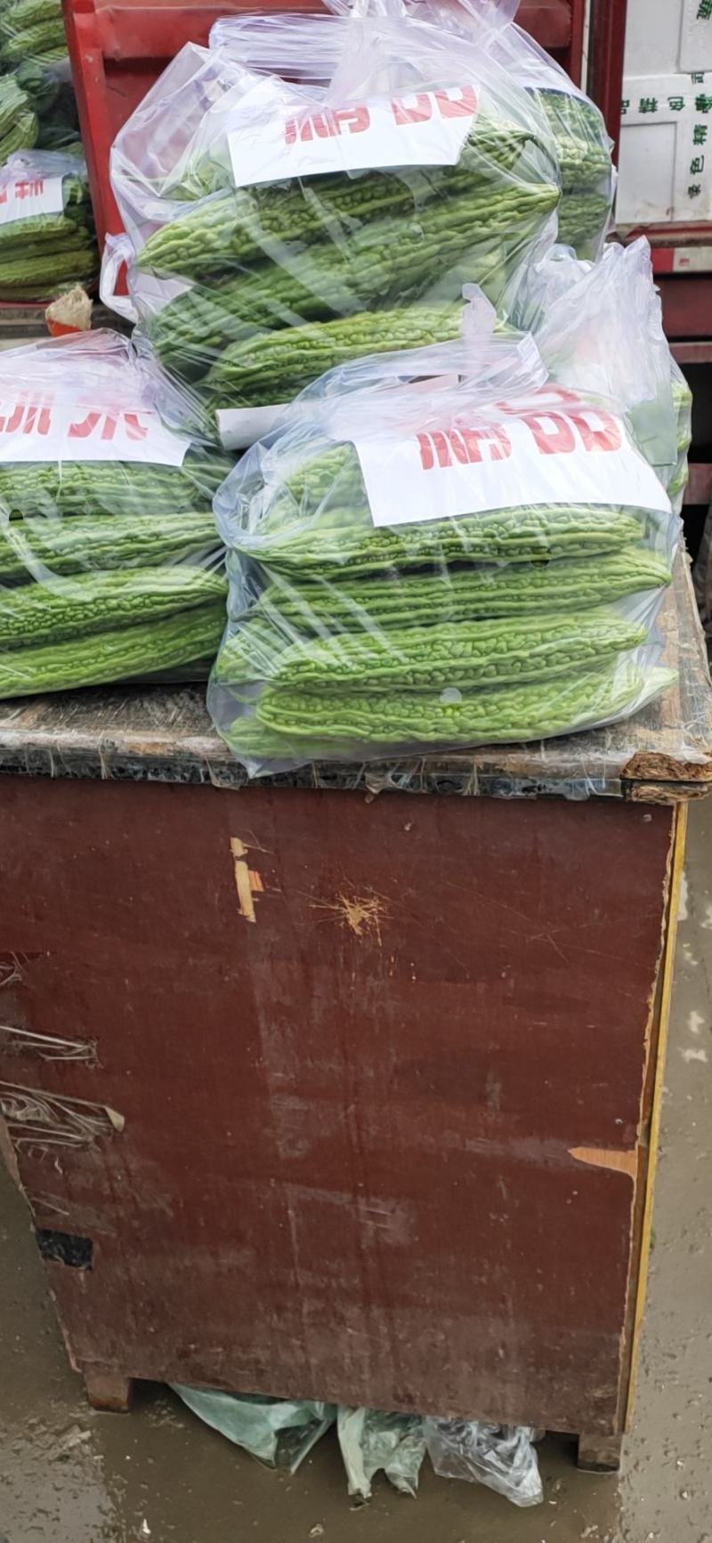 苦瓜精品大量上市商超走市场加工厂日供5万斤，，，