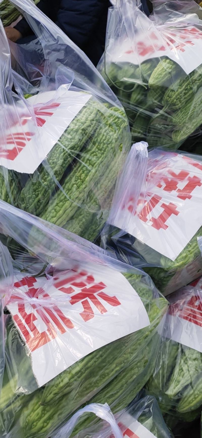 苦瓜精品大量上市商超走市场加工厂日供5万斤，，，