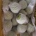山东绿宝石梨脆甜可口汁水多精品85以上批发商超电商