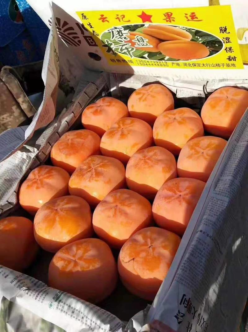 精品大磨盘柿子燕山特产加产地直销量大从优。