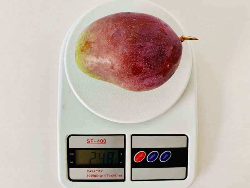 攀枝花凯特芒果凯特芒果一件代发一级果新鲜