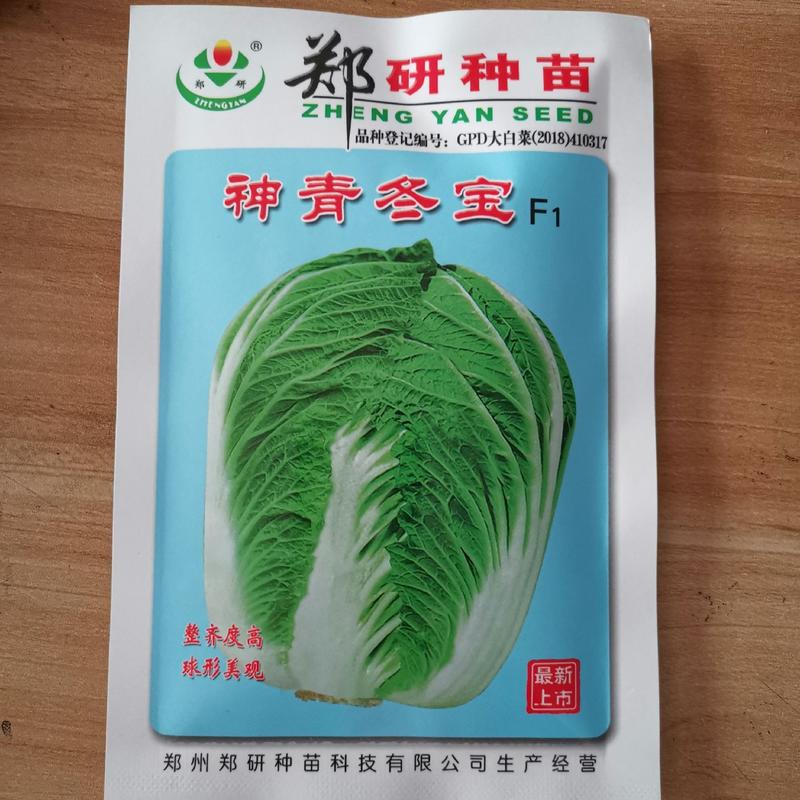 【精】郑研神青冬福，神青冬宝白菜种子20g，耐寒性好