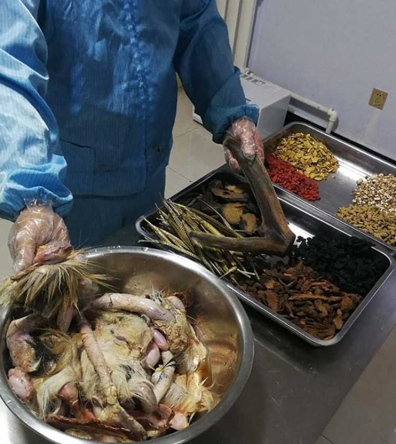 《明轩鹿业》加强版鹿鞭膏正品保障