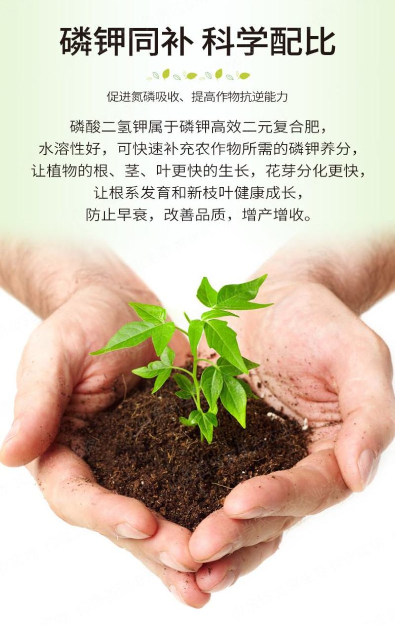 促花保果增色增甜促进光合作用提高作物品质